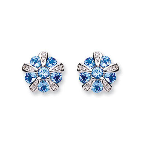 9ct White Gold Diamond & Tanzanite Earrings