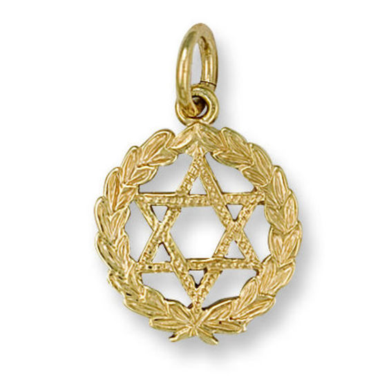 Star of David with laurels 9ct Gold Pendant