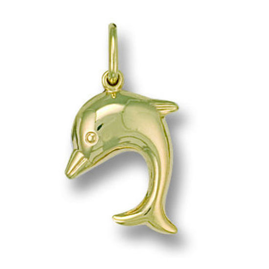 Dolphin, 9ct Gold
