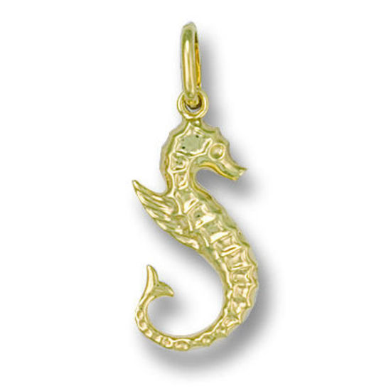 Seahorse, 9ct Gold