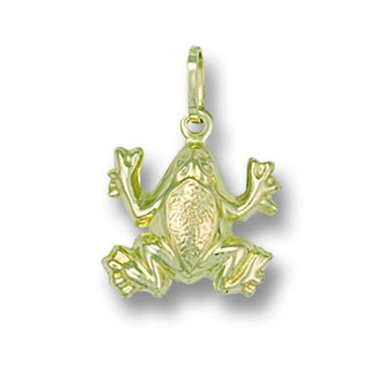 Frog, 9ct Gold